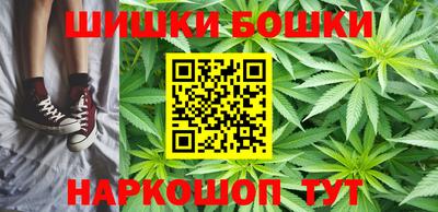 молекула духа Будённовск