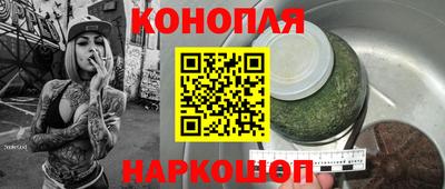 молекула духа Будённовск