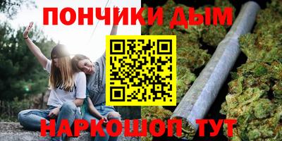 молекула духа Будённовск