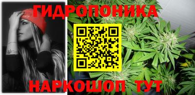 молекула духа Будённовск