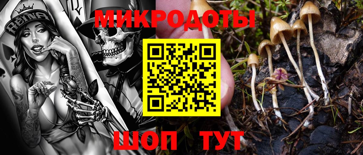 Крымск  Галлюциногенные грибы ЛСД  Вход с VPN 