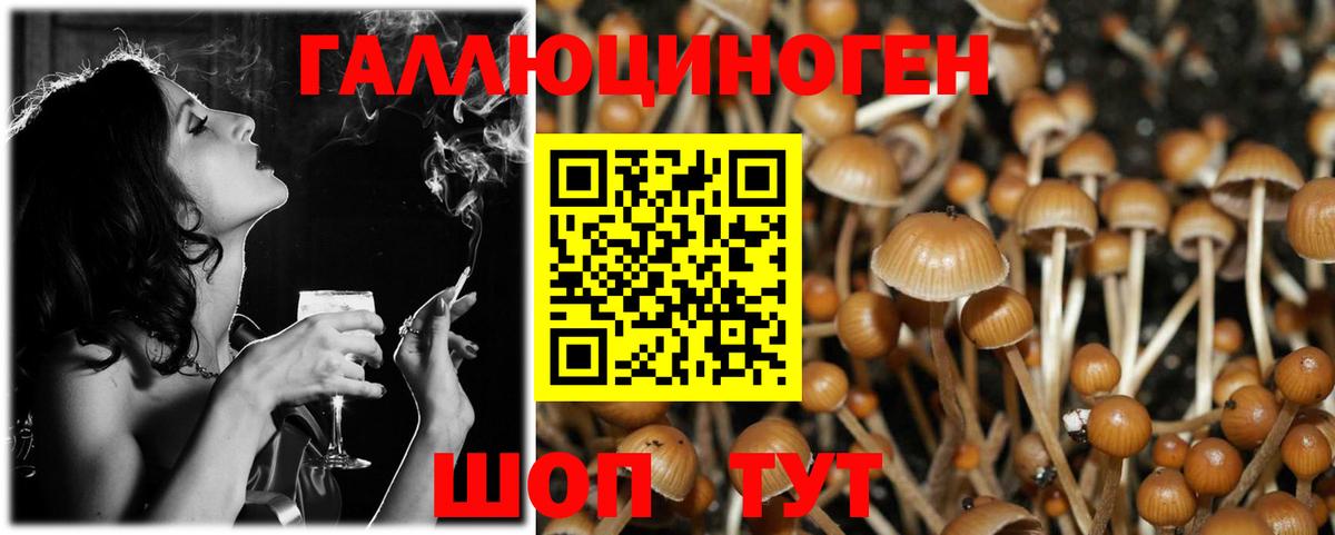 Псилоцибиновые грибы ЛСД Крымск